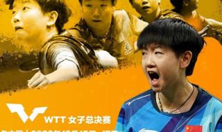 WTT新加坡世界杯总决赛