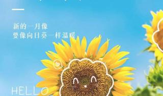 八月再见九月你好文案